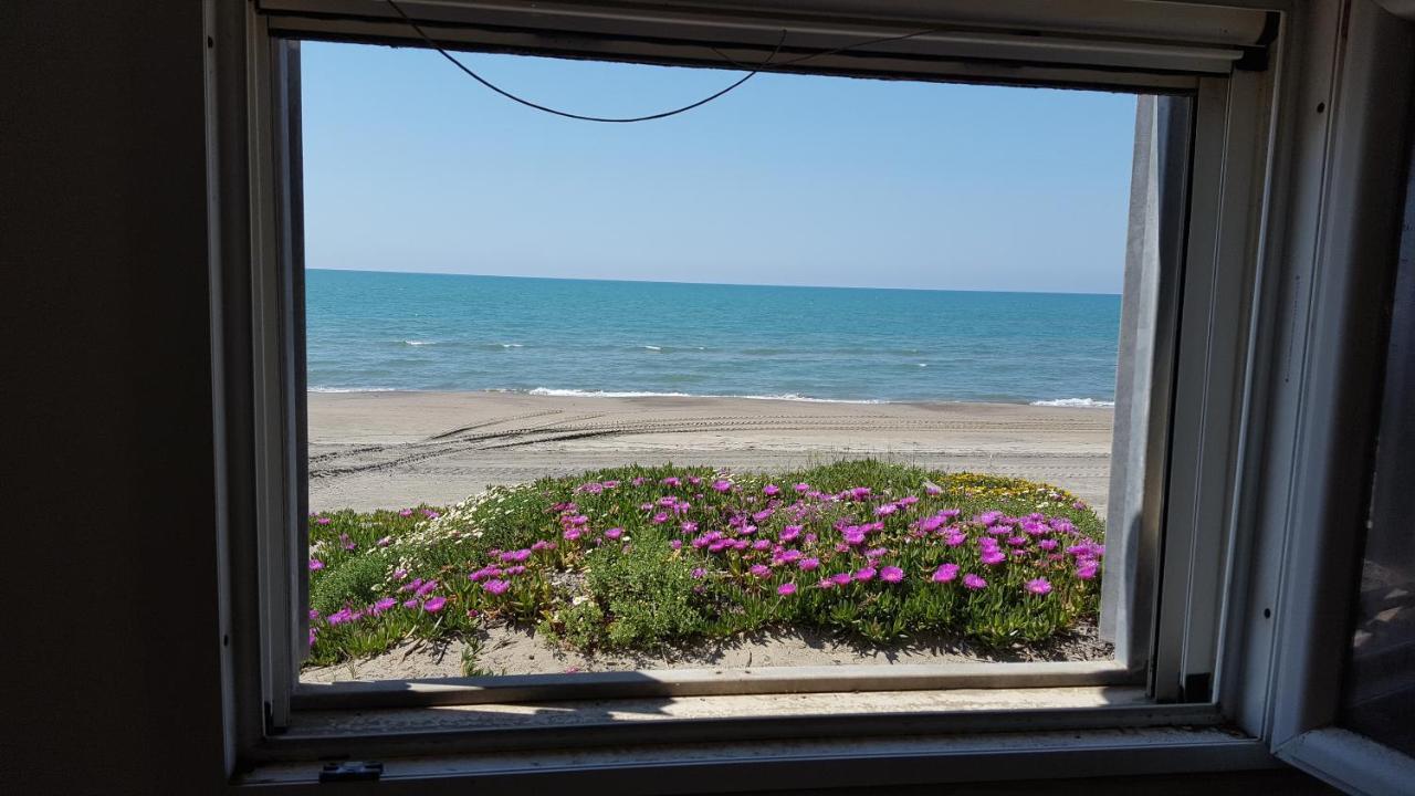 Apartmán Casina Sulla Sabbia Torvaianica Exteriér fotografie