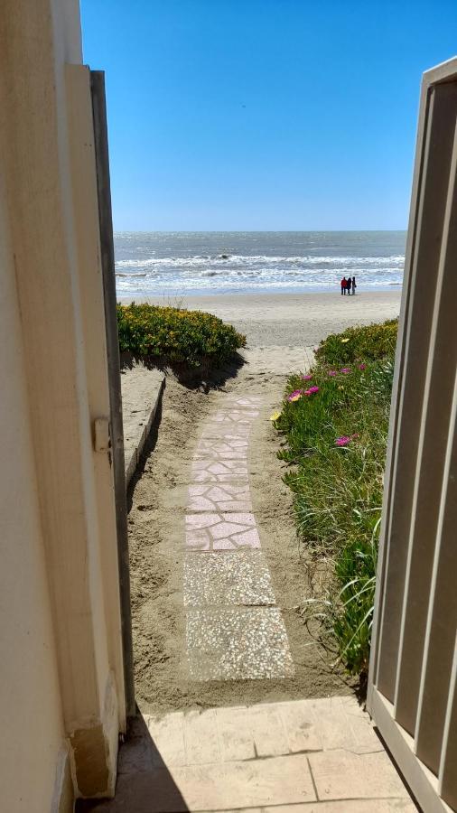 Apartmán Casina Sulla Sabbia Torvaianica Exteriér fotografie